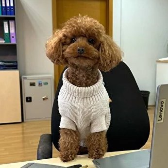 Промышленное строительство