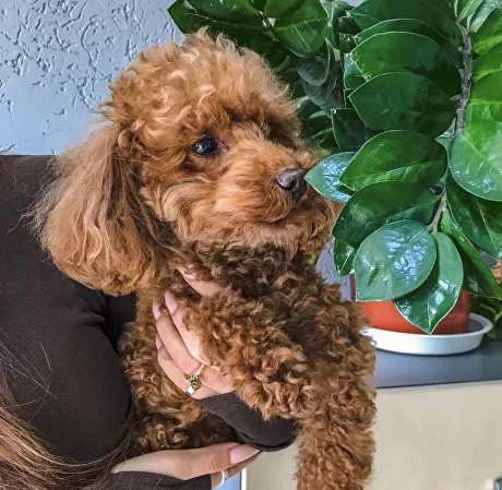 Гражданское строительство